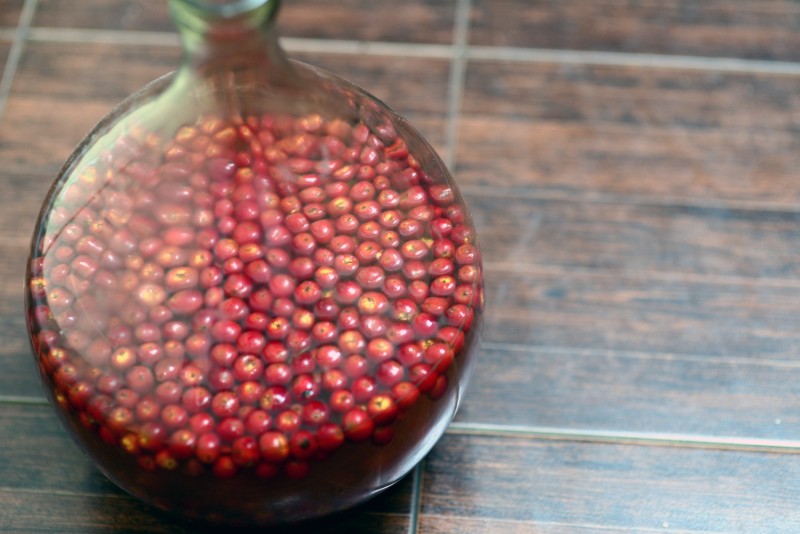 Przyjemne witaminy - wino różane