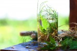Dieta w walce z próchnicą, czyli jak wyleczyć zęby