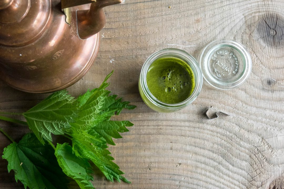 Jak zrobić sok z pokrzywy • Zielony Zagonek