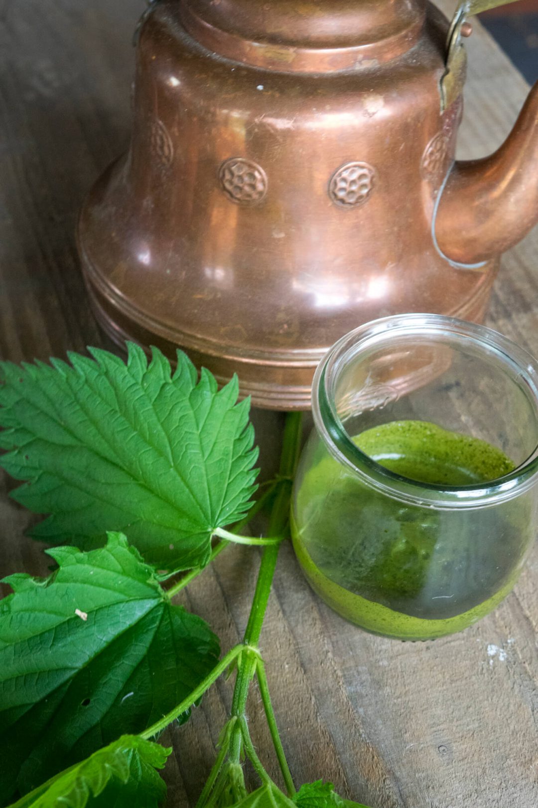 Jak zrobić sok z pokrzywy • Zielony Zagonek