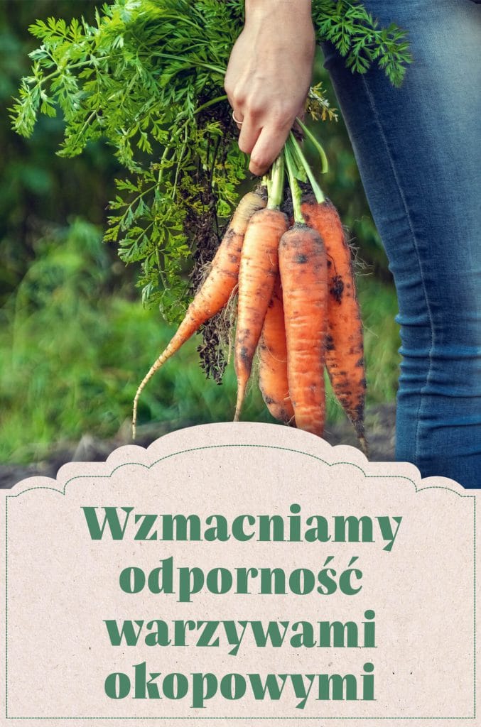 Wzmacniamy odporność warzywami okopowymi