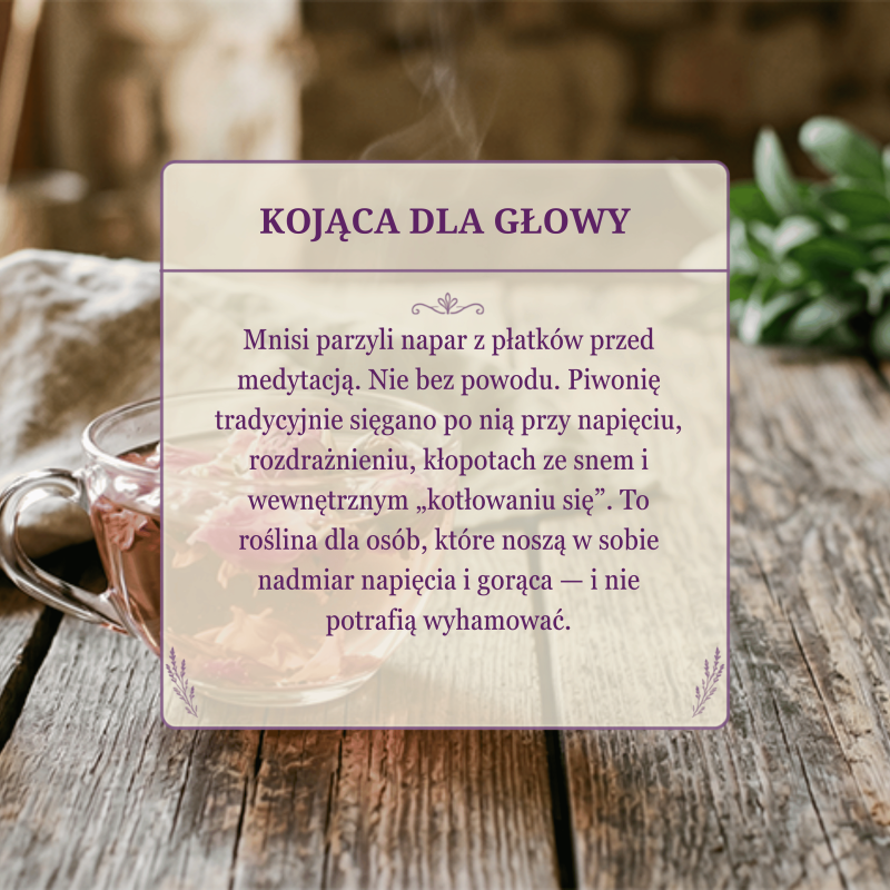 herbata z piwonii na co stosować
