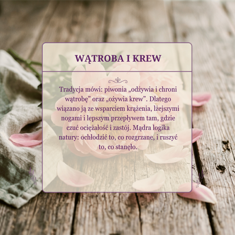 herbata z piwonii ndziałanie 