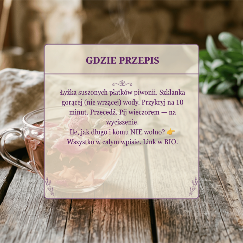 herbata z piwonii przepis