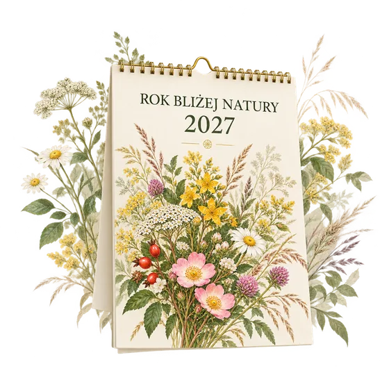 Kalendarz ziołowy 2027 Rok bliżej natury